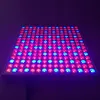 14W LED Grow Light Blue + Red Daylight Spotlight Spectrum för inomhus växter / plantor - EU-kontakt