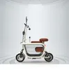 Elektrisk motorcykelskoter Vuxen 2 hjul Electric-scooters 580W 48V Mini Portabke Elektrisk cykel med två säten