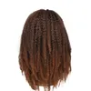 Lange Marley Vlechthaar Pruik voor Zwarte Vrouwen ombre bruin Afro Kinky Krullend Synthetische pruik Hoge Temperatuur Vezel3961886