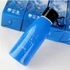 Creative Twelve Constellations Water Bottle 300ml 10oz Insulate Double Layer Glass Bottle Fashion Glass Water Bottle Customizable DBC VT0481