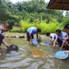 Outil de prospection de rivière de dragage de casserole d'extraction de pépite de bassin d'or en plastique