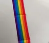 Gay Pride Rainbow Satin Sash Blank Satin galateo Telai Arcobaleno Festa a tema Evento Bomboniere festive Accessorio 150X9cm