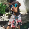 犬のための夏のペットの服のための犬の服の犬の服の子犬ペットのオーバート犬の衣装猫春の衣服ペット服装