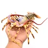 Klassieke Simulatie Oceaan Zee Leven Dieren Snelle Lobster Actiefiguren Palinuridae Children's Educational Model Speelgoed