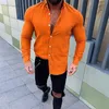 2019 New men Slim Fit Linen shirts Male Sexy V -neck Cato Linen shirt Tops Effen Color Long Mouw flax shirts M -3XL