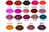 FREE SHIPPING20PCS FREE SHIPPING MAKEUP powder kiss lipstick Aluminum tube matte shell 20pcs