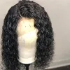 360 full Lace Frontal wig afro kinky curly Human Hair Wigs-Glueless 150% Density Brazilian Virgin Remy Wig with Baby hairs 18" diva2