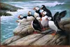 Moderne HD imprimé Art décor Animal oiseau peinture à l'huile photo sur la toile pour le bureau parure Art ZXTP1 (10)