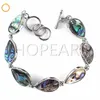 Mode boho stijl sieraden handgemaakte teardrop natuurlijke abalone paua shell armband met toggle sluiting 5 stuks