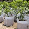 짠것이 아닌 직물 재사용 할 수있는 연약한 양면 처리 된 통기성 재배용 화분 손잡이가있는 가방 심기 대형 꽃 재배자 10 크기
