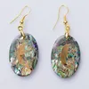 Womens Jewelry Charm Hook Earrings Natural Abalone Paua Shell with Gold Foil Dolphin Pattern 5 Pairs