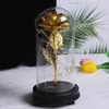 Beauty Gold Foil Rose Flower In Glass Dome With LED Light String The Gift For Anniversary Valentine's Day1271w