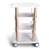 Salon Furniture Trolley Spa Styling Pedestal Rolling Cart Two Shelf Abs Aluminum US Stock In Beauty Center