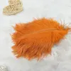 15 inç (30-35 cm) DIY devekuşu tüyler tüyler zanaat malzemeleri parti dekorasyon centerpiece düğün parti olay dekor