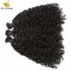 Color negro natural Inclino extensiones de cabello Onda rizada Pre-consolidada Afro Curl RemyHair