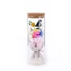 LED-Wunschflasche, konservierte frische Blume in Glaskuppel, 23 cm, kreatives kleines Geburtstagsgeschenk, konservierte frische Rose, Valentinstagsgeschenke