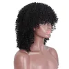 HD Lace Pre zepsuty Kinky Kręcone Ludzkie Włosy Wig Afro z Bang Top Quality Corows Front Peruki 130% Diva1