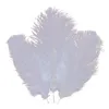 10-12 pouces Plume d'autruche Plume Blanc Rose Bourgogne Centres de table de fête de mariage Décoration Celebrity Wall Decor