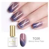 BORN PRETTY Thermal Magnetic Nail Gel 6ml Cat Eye Temperature Color Changing Gel Polish Soak Off Nail Art UV Gel Varnish Lacquer5133278