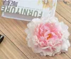 Wedding simulation peony flower head background flower wall road ball handmade arrangement silk cloth dahlia flower head WY336