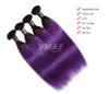 VMAE Brazilian Remy Virgin Hair Extension Straight Human Hair Weaves 3Pcs Weft Two Mix Ombre Color Purple Blue Green Gray Bundles Grade 11A