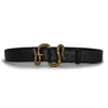 Mens Woman Belt Snake Belts with Letter Casual Smooth&Needle Buckle Belt Width 3.8cm Highly Quality Cowhide