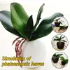 gerçek dokunuş phalaenopsis yaprağı yapay bitki orkide yaprağı dekoratif çiçekler yardımcı malzeme çiçek dekorasyonu sahte bitki1230d