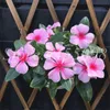 200 Stcs Samen gemischte Farbe Periwinkle Bonsai Blume Vinca Abdeckung hinter House Jardin Flores Topf Mini -Gartenpflanzen für Blumen Pot256b