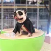 Moda Deri Köpek Giyim Kırmızı Ekose Köpek Ceket Popüler Fermuar Pet Ceket PU Teddy Fransız Bulldog Giyim Sokak Ceket