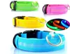 fluorescent nylon dog collars