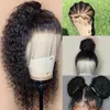 full lace human hair wigs pre plucked with baby hair water wave full lace wig brazilian remy glueless 150