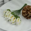 720ピースミニPEカルラユリ造花ブーケDIYハンドワークスクラップブッキング家の結婚式ギフトボックス装飾偽の花