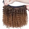 Afro Kinky Curly Ponytail Förlängning Hårbulle Korta Afro Curly Extensions Human Hair Puff Drawstring Ponytail för Svarta Kvinnor Kaffe Brun