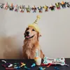 Dog Party Decorations Dog with Solglasögon Garland Bunting Dog Paws Print Banner Pet Puppy Party Supplies YQ01201