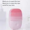 Original Inceace Smart Sonic Clean Electric Deep Facial Cleaning Massage Borste Wash Face Care Cleaner Rechargeable Drop Ship