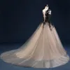 Gothic Champagne and Black Ball Gown Wedding Dresses Sheer Neck Sleeveless Lace Appliques Tulle Corset Bridal Gowns with Court Tra224m