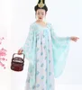 Seksi gündelik Günlük Hanfu taze antik elbise uzun peri elbise Tang Hanedanlığı Ru gerçekçi elbise İmparatorluk cariye saray güzellik etek