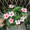 200 PCS SEMILLAS Color mixto Flower Bonsai Flower Vinca Behind House Jardin Flore Mini Garden Plants For Flower Pot256b