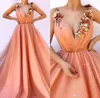 Peach v Neck Lace Long Prom Dresses 3D Floral Hoded Hoverique A Line Sweep Train Sweep Party Party Bords