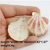 Sea Natural Shell Conch Charms Pendant 10st / mycket för DIY Böhmen Smycken Örhängen Gör Tillbehör