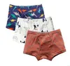 Crianças roupas meninos calcinha de verão dos desenhos animados ins cuecas imprimir roupa interior macia algodão animal dinossauro briefs listrado tubarão boxer sho2635563