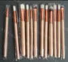 Helt ny 12st set Eyeshadow Makeup Brushes With Bag 2Colors Make Up Borstar Set Professionell Kosmetisk Borste Ögonskugga Läppborste Drop Ship