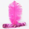 Ostrich Feather Headband Party Supplies 1920's Flapper Sequin Charleston Costume Headbands Band Ostrich-Feather Elastic Headdress on Sale