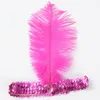 20st Ostrich Feather Headband Party Supplies 1920s Flapper Sequin Charleston Kostym Ostrich-Fjäder Elastiska Sequins Belt Headbands Indian Hairband