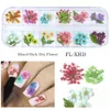 Fleurs séchées Kit d'art d'ongle naturel réel Floral 3D décorations autocollant bricolage Design accessoires ongles conseils Decals4837440