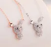 Fashion Rabbit 925 Sterling Silver Pendant Necklace Cubic Zirconia Designer S925 Clavicular Chain Top Quality Jewelry Gift J1105 för kvinnor