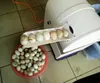 Low price Industrial egg washer and cleaner/economic duck egg cleaning machine/large stock quail egg washing machine