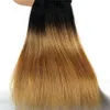 Virgin Brasilian Human Hair Weaves 1b 27 Honey Blonde Human Hair Extensions Silk Rak Ljus Brun Ombre Hår Vävar 3st / Lot 8A Grade