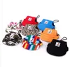 8 색 패션 개 모자 여름에 작은 개 고양이 야구 모자 캡 바이저 캡 이어 구멍 애완 동물 제품 야외 액세서리 선 모자 2986080