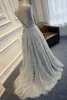 New Modest Full Lace Elie Saab Dresses Evening Wear Sheer Neck Appliques Open Back A Line Sweep Train Light Blue Prom Party Gowns